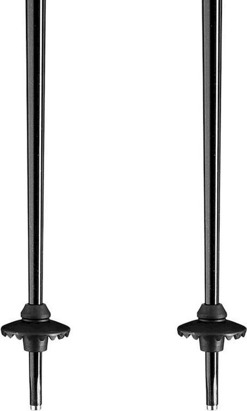 Bâtons Leki Alpino Primacy Argent 125 cm