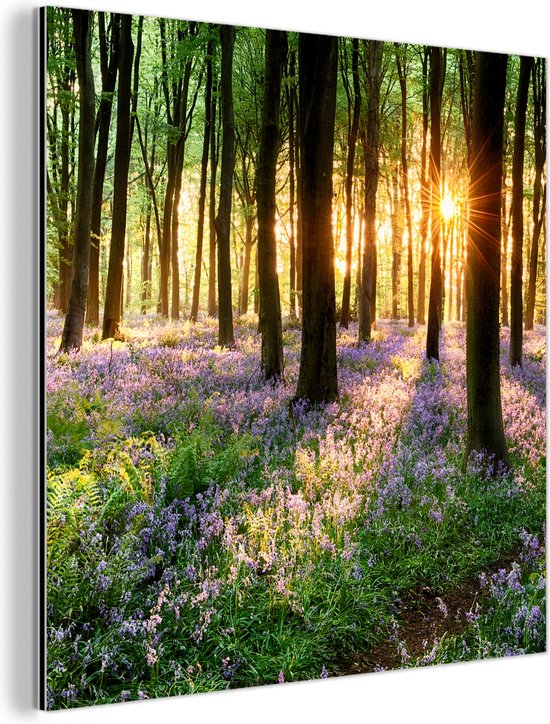 Décoration murale Métal - Peinture Aluminium Industrielle - Forêt - Fleurs - Lavande - Soleil - Violet - Nature - 20x20 cm - Dibond - Photo sur aluminium - Décoration murale industrielle - Pour le salon / chambre