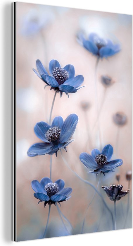 Aluminium schilderij 20x30 cm - Wanddecoratie metaal - Cosmos - Bloemen - Natuur - Blauw - Metalen muurdecoratie woonkamer - Decoratie industrieel - Foto op dibond - Industriële accessoires slaapkamer