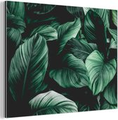 Décoration murale Métal - Peinture Aluminium Industriel - Jungle - Feuilles - Tropical - Plantes - Nature - 160x120 cm - Dibond - Photo sur aluminium - Décoration murale industrielle - Pour le salon/chambre