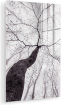 MuchoWow® Glasschilderij 40x60 cm - Schilderij acrylglas - Boom - Takken - Bladeren - Mist - Foto op glas - Muurdecoratie woonkamer - Wanddecoratie slaapkamer - Schilderijen