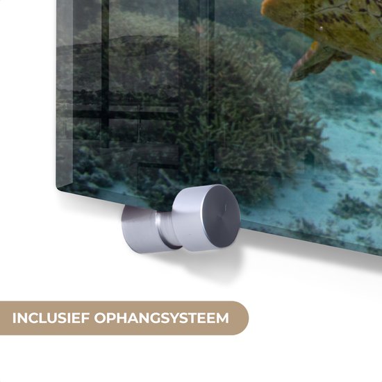 Peintures sur verre - Mer - Tortue - Couleurs - 120x80 cm - Peintures Plexiglas