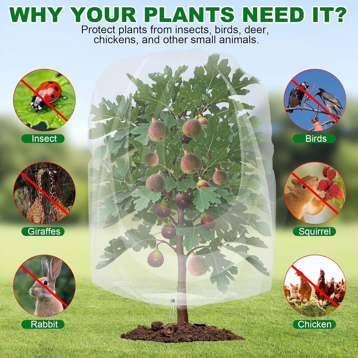 Fruitbeschermingstas, 100 STKS Herbruikbare Tuingaasbarrièretas Fruitnetzakken met Trekkoord Groen Tuinnet Fruithoes Nettas voor Plantenbloemfruitbomen (10 * 15cm