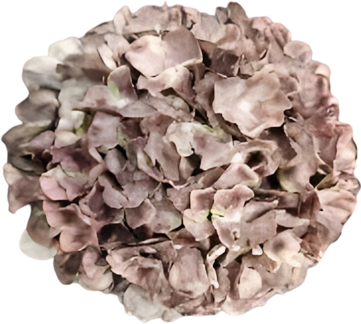 Buitengewoon de boet - Kunst hortensia tak bruin 92 cm