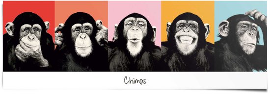 Affiche Reinders The Chimp - poupée - Poster - 158 × 53 cm - n ° 22080