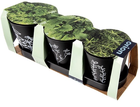 Pot de fleurs pour herbes sur pied BLACKLINE 4 c. à soupe - Pot de fleurs
