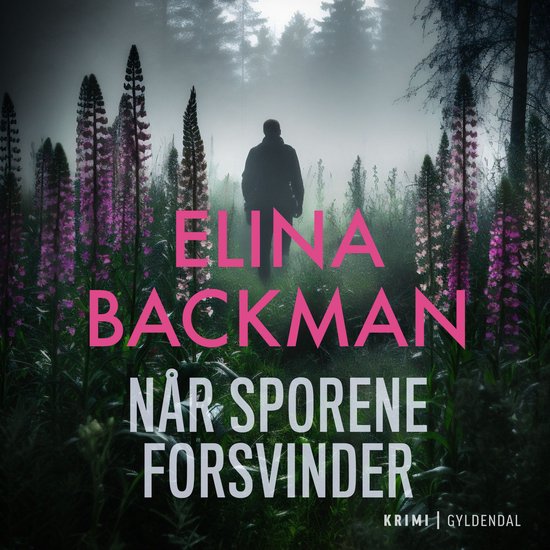 Når sporene forsvinder - cover