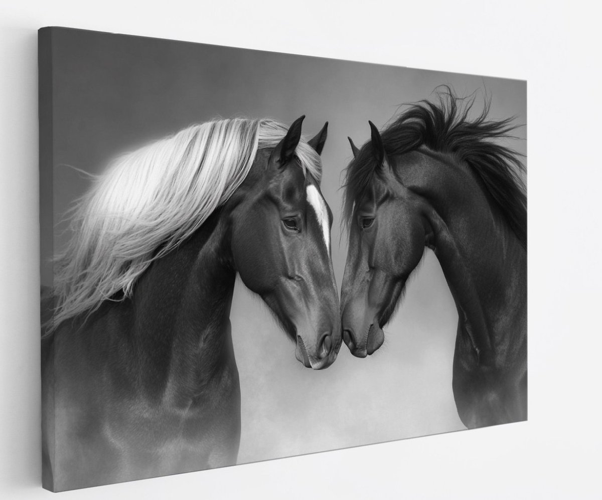 Saammp Canvas Schilderij - 2 Verliefde Paarden - Kunst - Dieren - Natuur - 50x40 - Foto op canvas - Wanddecoratie - muurdecoratie Woonkamer - Slaapkamer decoratie - Canvas Print Multicolor