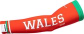 Fanssleeve EK Voetbal Armsleeve supporter vlag Wales