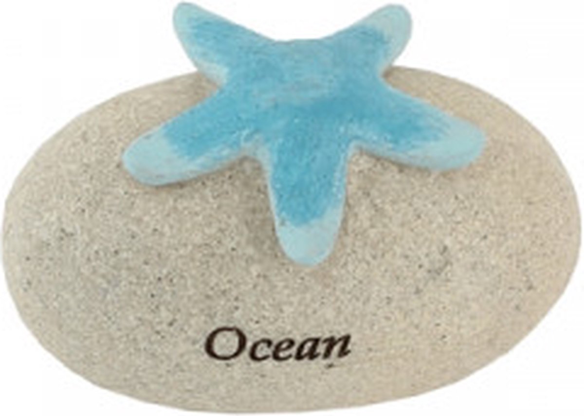 Steen met zeester ocean 8x5x5cm