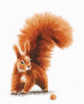 PANNA Embroidery Kit Squirrel with a Nut JK-2176 - Point satin - Broderie adulte - Tissu pré-imprimé