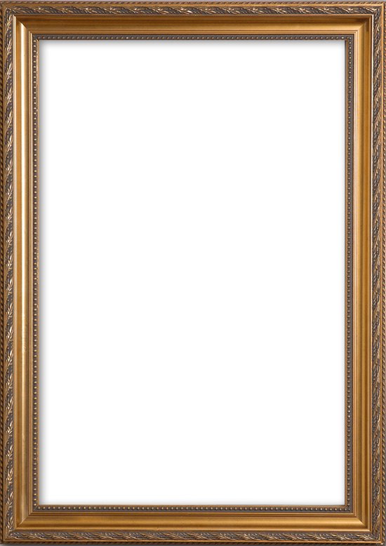 galerij academisch Broer Barok Lijst 50x60 cm Goud - Franklin | bol.com