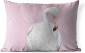 Buitenkussens - Tuin - Witte flamingo - 50x30 cm