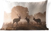 Buitenkussens - Tuin - Herten in de mist in het bos - 50x30 cm