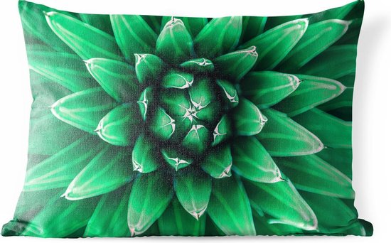 Coussins d'extérieur - Jardin - Gros plan de feuilles de cactus - 50x30 cm