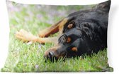 Buitenkussens - Tuin - Een liggende Rottweiler in het gras - 60x40 cm