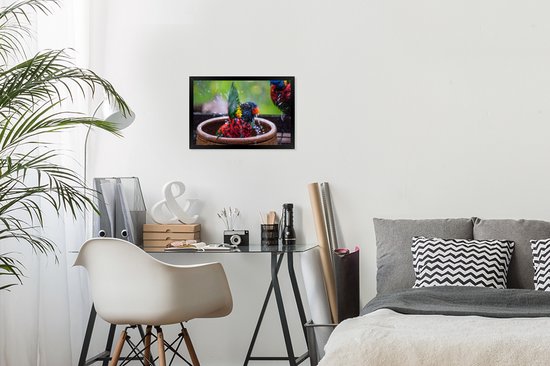 Photo encadrée - Perroquet ludique dans un bain d'oiseaux cadre photo noir sans passe partout 30x20 cm - Affiche encadrée (Décoration murale salon / chambre)