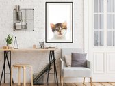 Poster - Funny Kitten-40x60