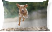 Buitenkussens - Tuin - Rennende hond foto - 60x40 cm