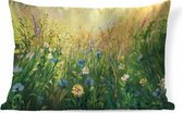Sierkussens - Kussen - Geschilderd grasveld vol bloemen - 60x40 cm - Kussen van katoen
