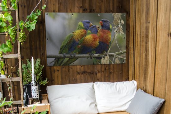 Deux Loris des montagnes bleues avec un garçon en Australie Affiche de jardin 120x80 cm - Toile de jardin / Toile d'extérieur / Peintures pour l'extérieur (décoration de jardin)