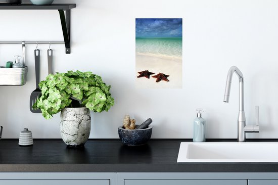 Sticker Muursticker Étoile de mer - Deux grandes étoiles de mer se trouvent sur la côte de Cuba - 20x30 cm - Film adhésif autocollant - Sticker mural repositionnable