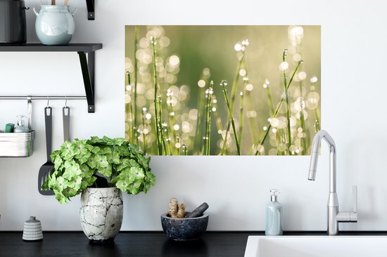 Sticker Muursticker Rosée précoce - Rosée précoce sur brins d'herbe - 60x40 cm - film adhésif autocollant - sticker mural repositionnable