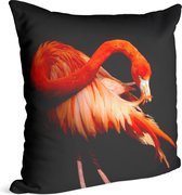 Flamingo op zwarte achtergrond - Foto op Sierkussen - 50 x 50 cm