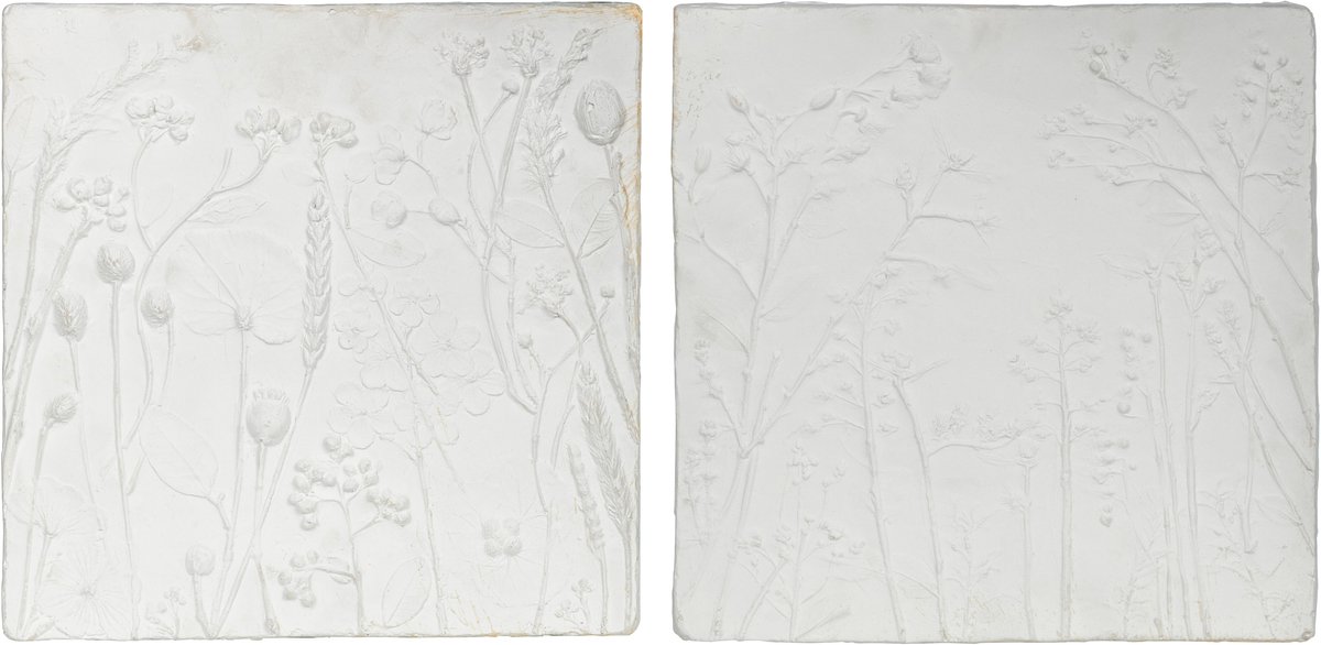 BePureHome Plaquette Wanddeco - Gips - Wit - Set van 2
