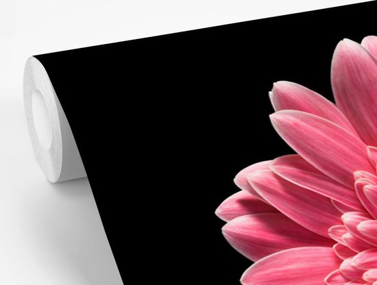 Papier peint Papier peint photo en vinyle - Fleur rose sur fond noir largeur 420 cm x hauteur 280 cm - Tirage photo sur papier peint (disponible en 7 tailles)
