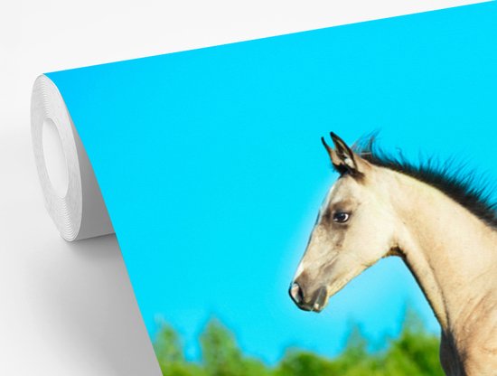 Behang - Fotobehang Paard - Meer - Gras - Breedte 330 cm x hoogte 220 cm - Nr1Wallpaper
