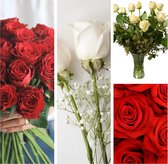 ABONNEMENT 1 jaar - Maandelijks 1 bezorging - Telkens een andere combinatie van romantische rozen