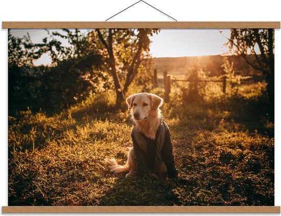 Schoolplaat – Blonde Hond met Vest - 90x60cm Foto op Textielposter (Wanddecoratie op Schoolplaat)