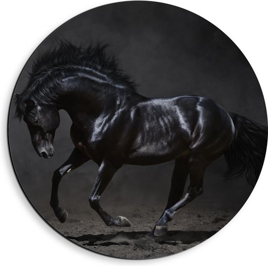 Dibond Wandcirkel - Zwart Paard op Zand - 40x40cm Foto op Aluminium Wandcirkel (met ophangsysteem)