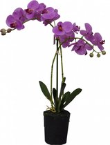 Kunstplant orchidee roze - 2 tak h53cm