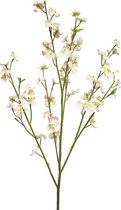 By Kohler Wild Flower tros roze 40x10x98cm (114884)