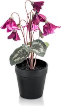 Kunstbloem Cyclamen 28 cm paars