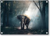 Olifant - Tuinposter 70x50 - Wanddecoratie - Besteposter - Dieren