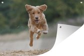 Tuindecoratie Rennende hond foto - 60x40 cm - Tuinposter - Tuindoek - Buitenposter