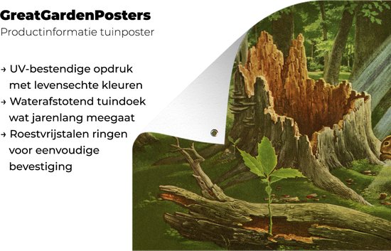 Une illustration d'un écureuil à côté d'une souche d'arbre affiche de jardin 160x120 cm - Toile de jardin / Toile d'extérieur / Peintures d'extérieur (décoration de jardin) XXL / Groot format!