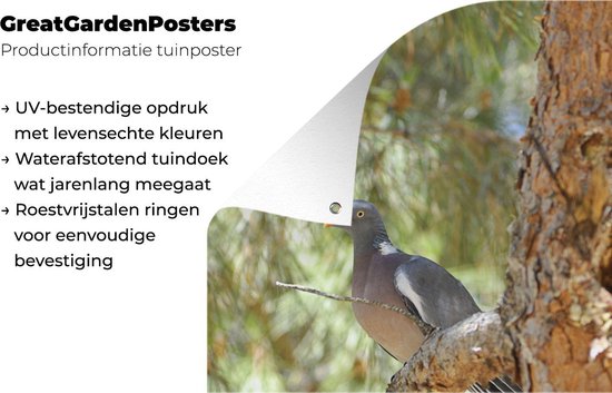 Tuinposter 60x90 cm - Tuindecoratie Houtduif - Boom - Natuur - Poster voor in de tuin - Buiten decoratie - Schutting tuinschilderij - Tuindoek muurdecoratie - Wanddecoratie balkondoek