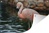 Tuinposters buiten Een flamingo staat in het water voor de rotsen - 90x60 cm - Tuindoek - Buitenposter