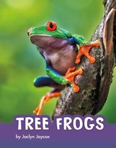 Animals - Tree Frogs