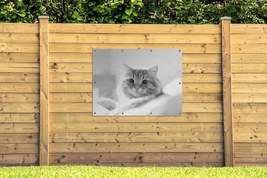Affiche jardin - Toile Posters de jardin extérieur - Gros plan chat - noir et blanc - 120x90 cm - Jardin