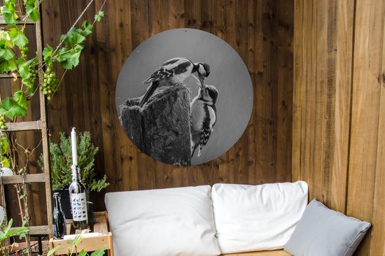 Cercle de jardin Une mère pic épeiche nourrit ses petits - noir et blanc - 90x90 cm - Affiche de jardin ronde - Extérieur