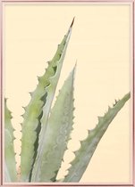 Poster Met Metaal Rose Lijst - Abstracte Cactus Poster