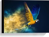Canvas  - Vliegende Papagaai met Kleurpoeder - 40x30cm Foto op Canvas Schilderij (Wanddecoratie op Canvas)