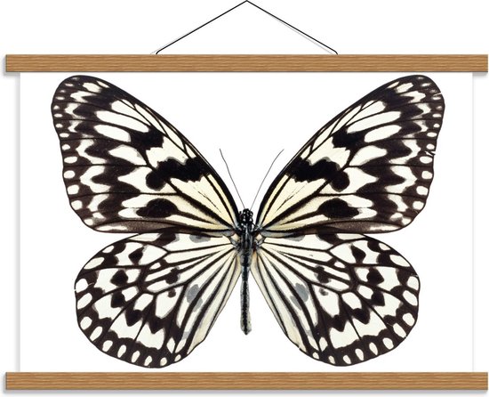 Schoolplaat – Zwart Witte Vlinder - 60x40cm Foto op Textielposter (Wanddecoratie op Schoolplaat)