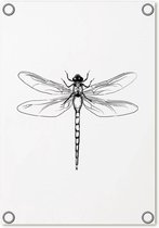 Zoedt tuinposter - zwart wit - Libelle - 60x80cm