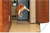 Kat springend naar speelgoed poster papier 60x40 cm - Foto print op Poster (wanddecoratie woonkamer / slaapkamer) / Huisdieren Poster
